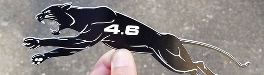 Black Panther Emblem