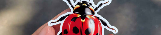 Ladybug Car Emblem